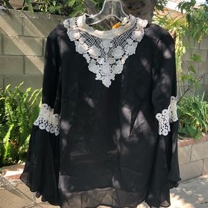Chiffon embroidered blouse ||